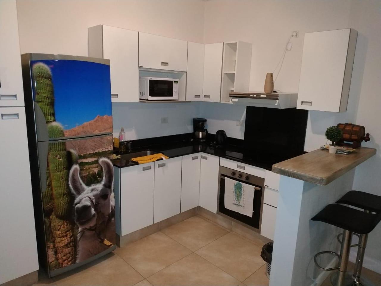 Апартаменты Apartamento Leguizamon Сальта Экстерьер фото